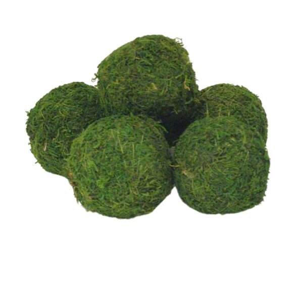 MOSS BALL 2.5" - Pack of 6 - Picture 1 of 1